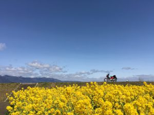 神戸の結婚指輪・婚約指輪はvoulez vous| 素朴な上質感のあるロハスなジュエリーブランド