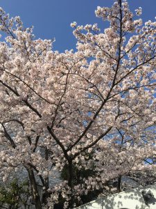 神戸の結婚指輪・婚約指輪はvoulez vous| 素朴な上質感のあるロハスなジュエリーブランド