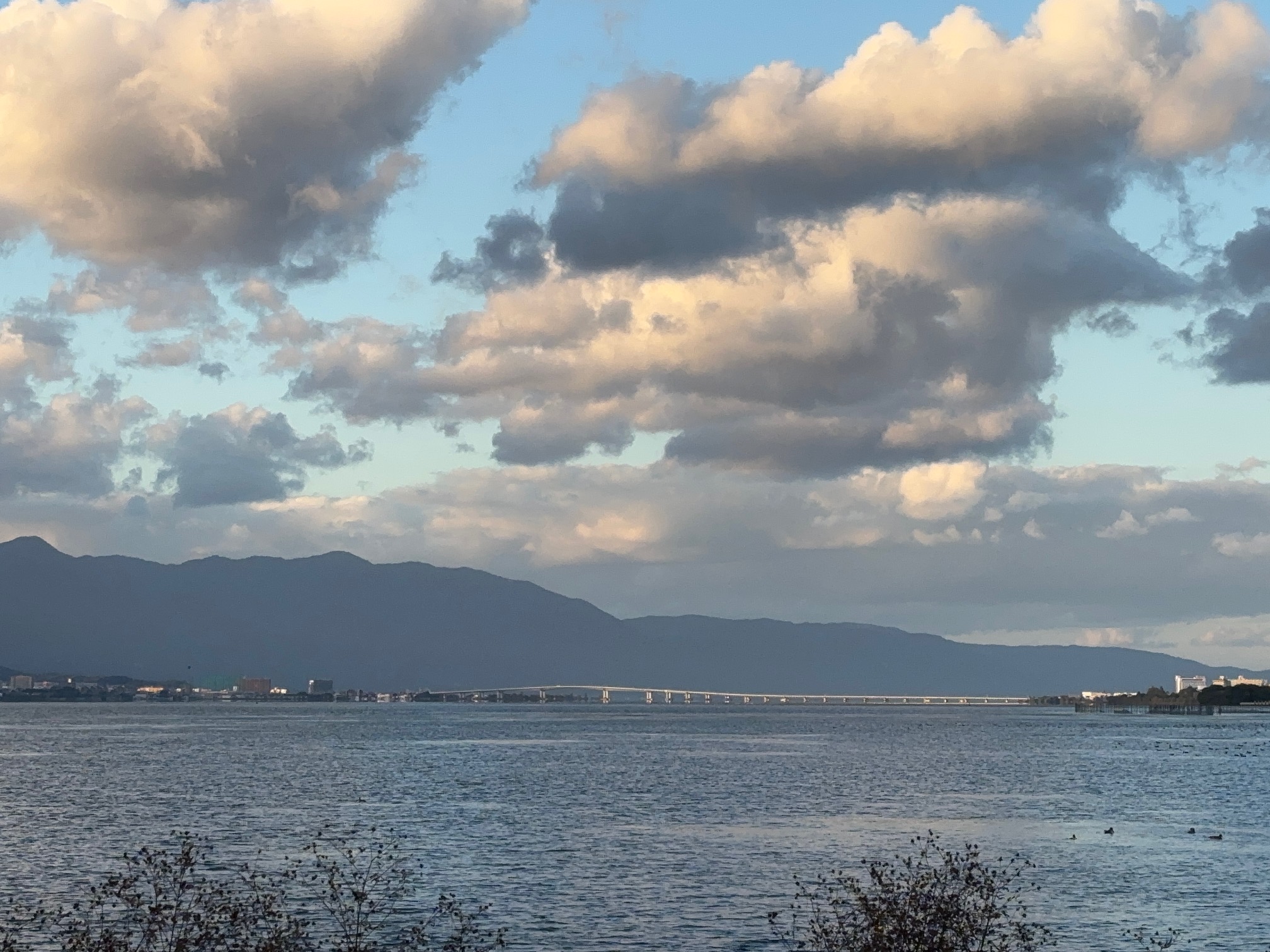 婚約指輪に秘められた真実…【Happly Ever After】 1 神戸の結婚指輪・婚約指輪は”voulez vous(ヴーレ・ヴー)"| 素朴な上質感のあるロハスなジュエリーブランド