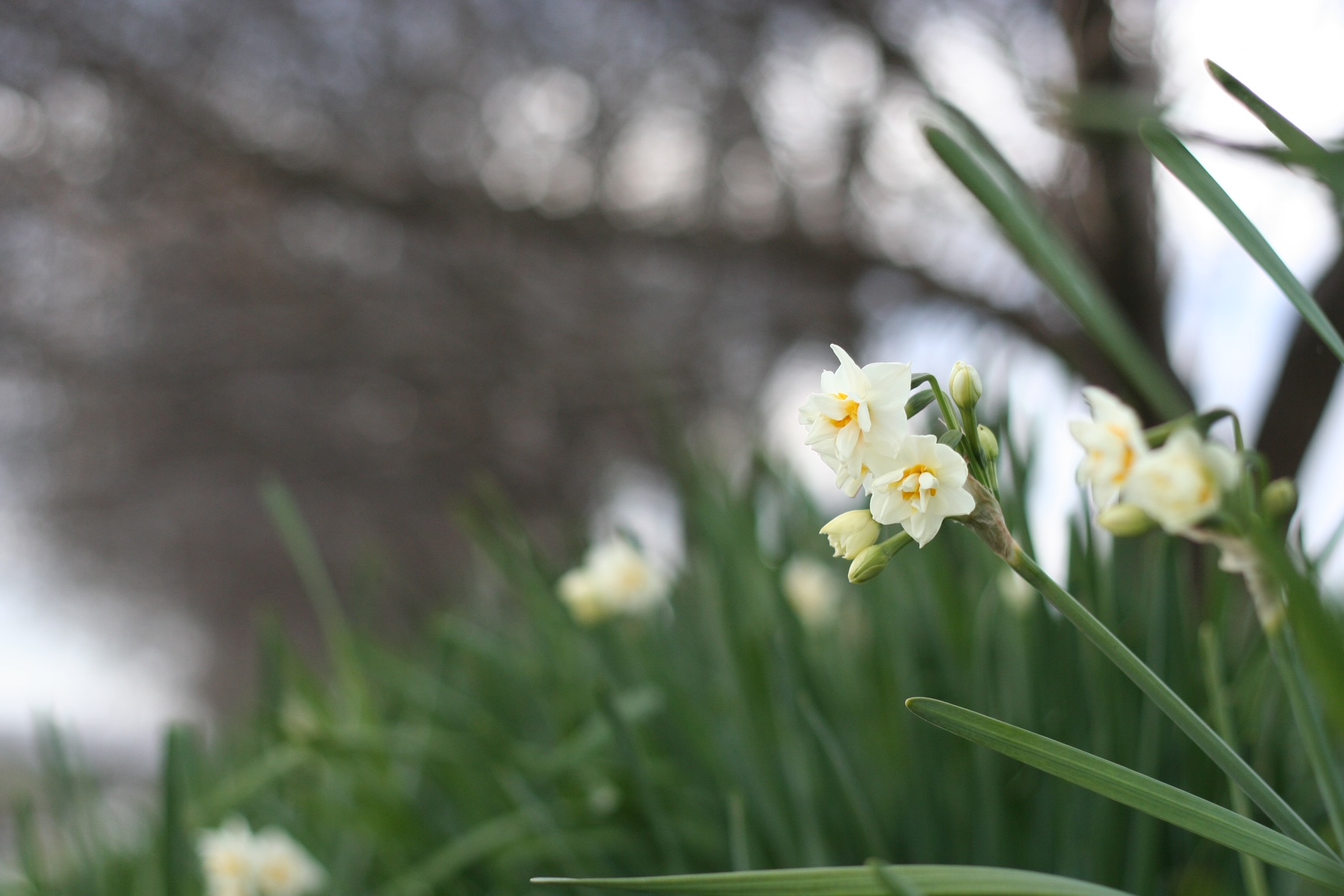 神戸の結婚指輪・婚約指輪は”voulez vous（ヴーレ・ヴー）"| 素朴な上質感のあるロハスなジュエリーブランド