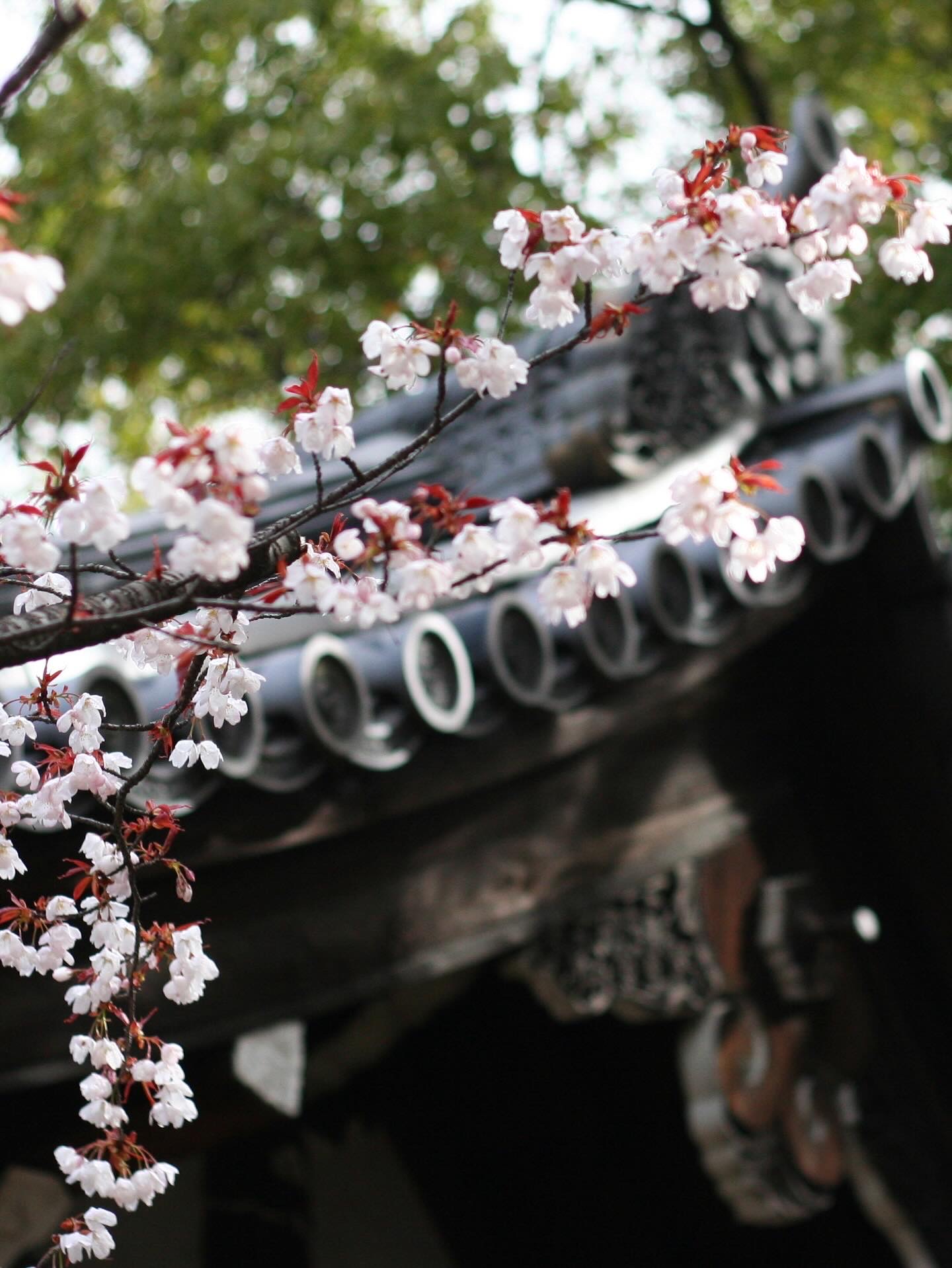 神戸の結婚指輪・婚約指輪は”voulez vous（ヴーレ・ヴー）"| 素朴な上質感のあるロハスなジュエリーブランド