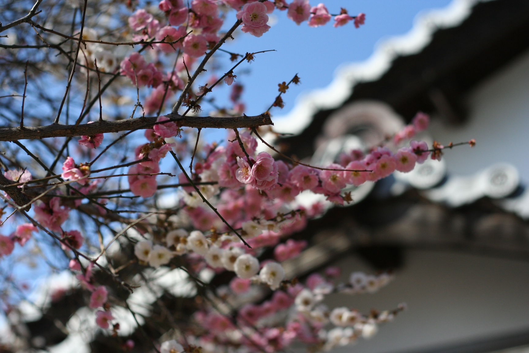 神戸の結婚指輪・婚約指輪は”voulez vous（ヴーレ・ヴー）"| 素朴な上質感のあるロハスなジュエリーブランド