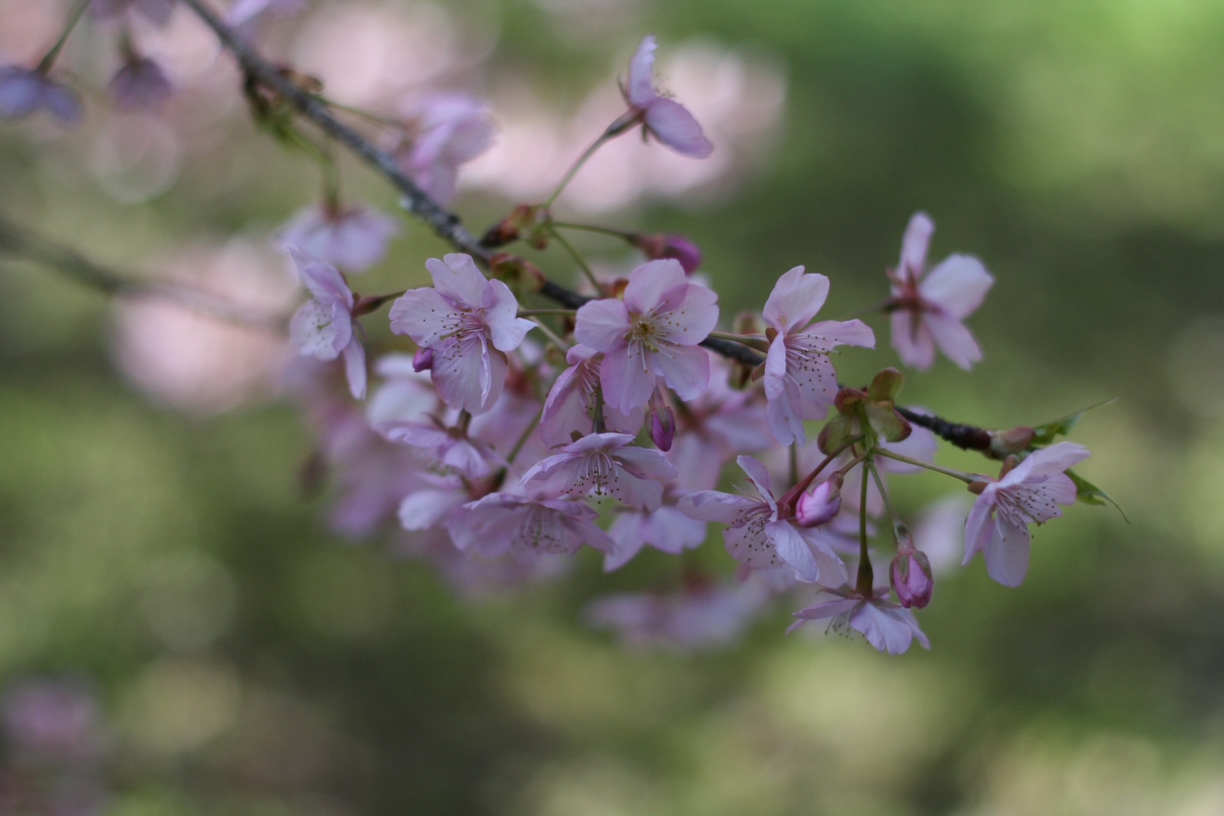神戸の結婚指輪・婚約指輪は”voulez vous（ヴーレ・ヴー）"| 素朴な上質感のあるロハスなジュエリーブランド