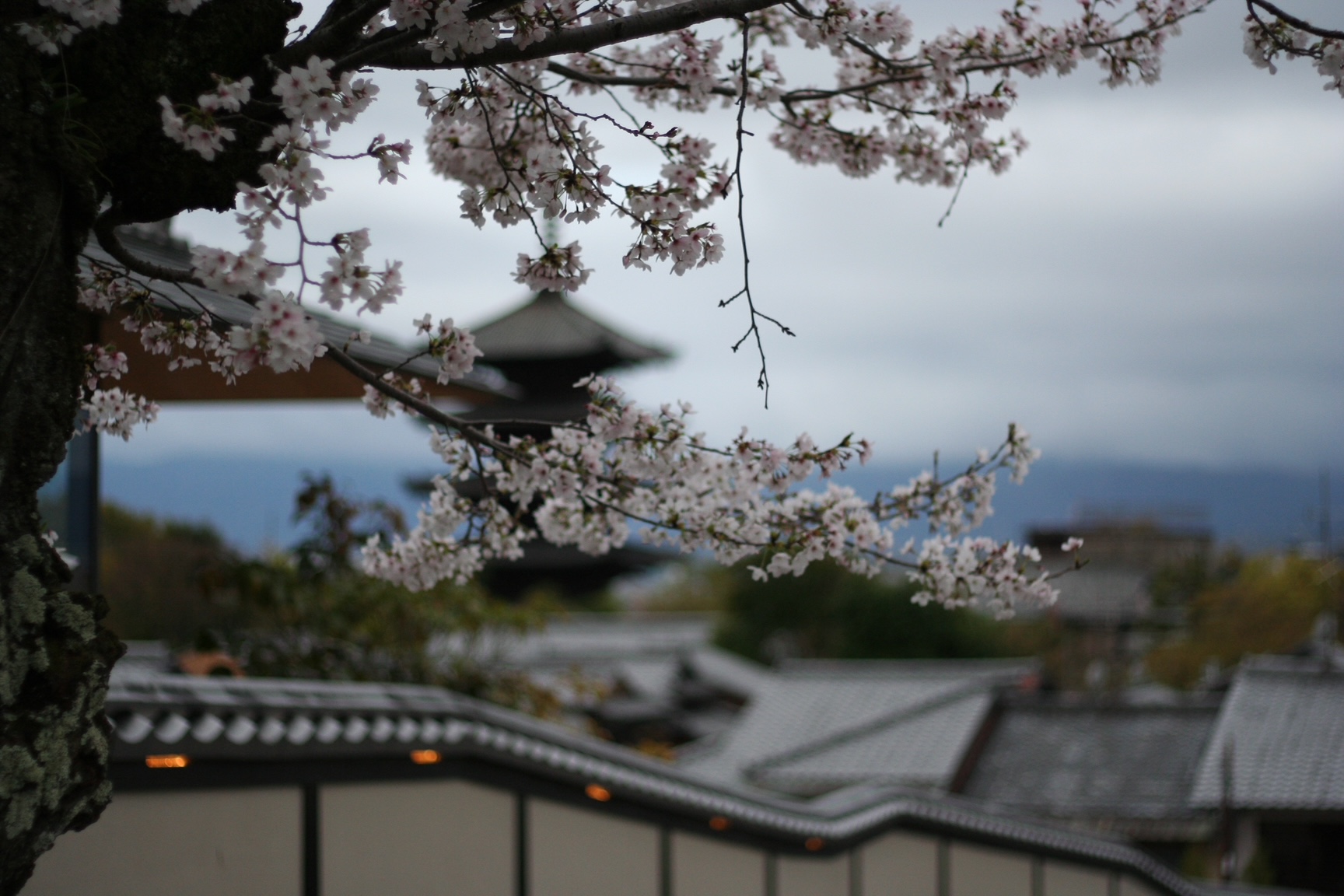 神戸の結婚指輪・婚約指輪は”voulez vous（ヴーレ・ヴー）"| 素朴な上質感のあるロハスなジュエリーブランド