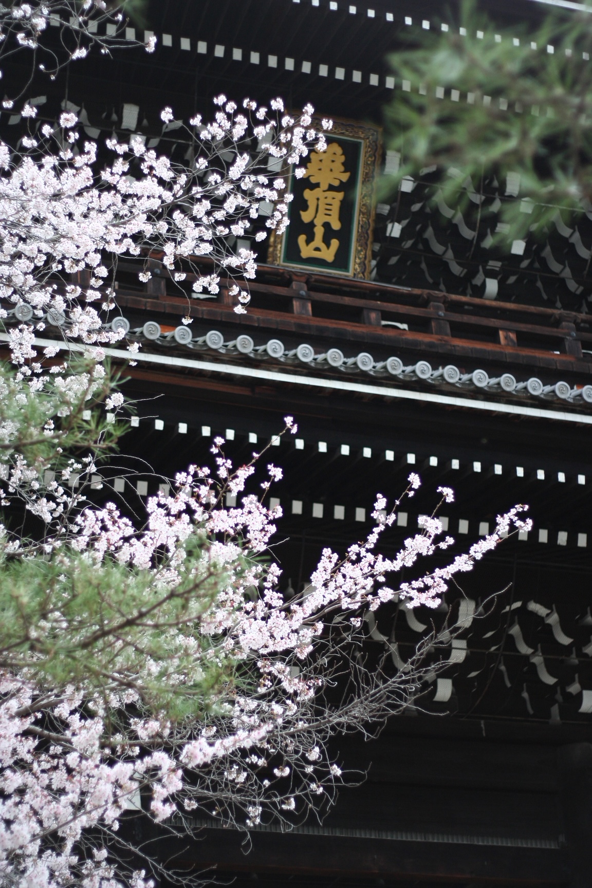 神戸の結婚指輪・婚約指輪は”voulez vous（ヴーレ・ヴー）"| 素朴な上質感のあるロハスなジュエリーブランド