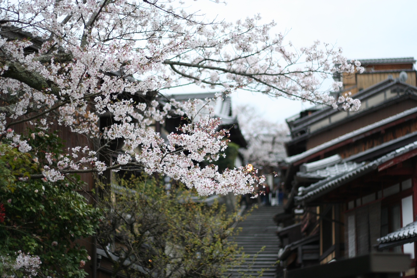 神戸の結婚指輪・婚約指輪は”voulez vous（ヴーレ・ヴー）"| 素朴な上質感のあるロハスなジュエリーブランド